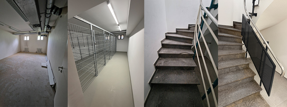 3 Bild Bosch Kopie.jpg